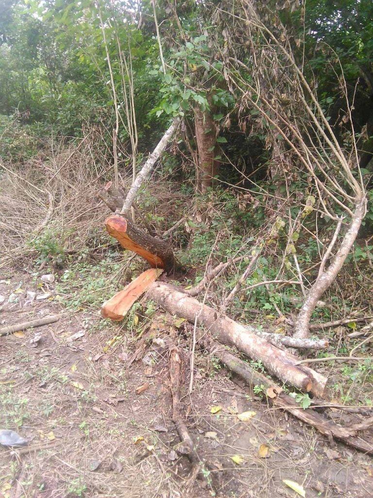 Extracción ilegal de mantillo en el San Bernardo. (Policía de Salta)