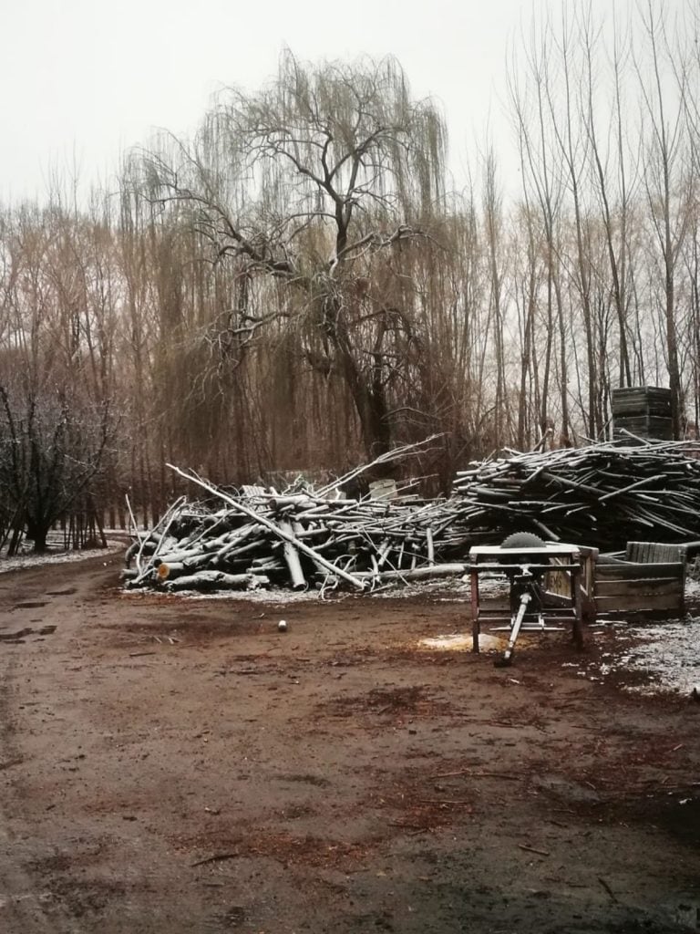 La nevada dejó un paisaje hermoso en Mendoza.