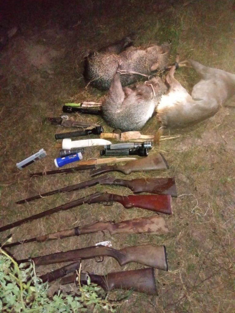 Cazadores furtivos demorados por matar corzuelas y chanchos. (Policía de Salta)