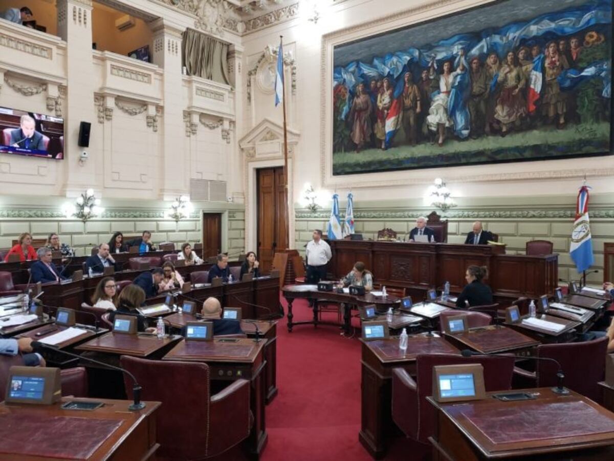 Diputados vuelve a tratar proyectos de emergencia ante la epidemia en Santa Fe