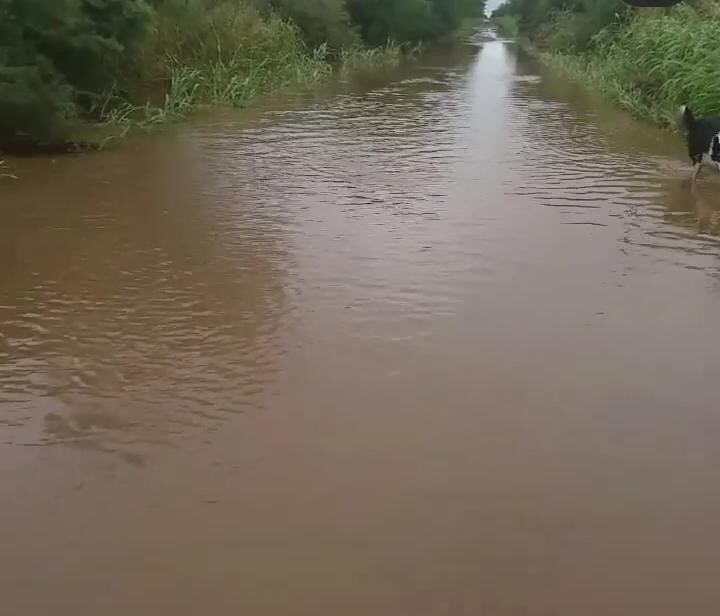 Caminos rurales Río Primero