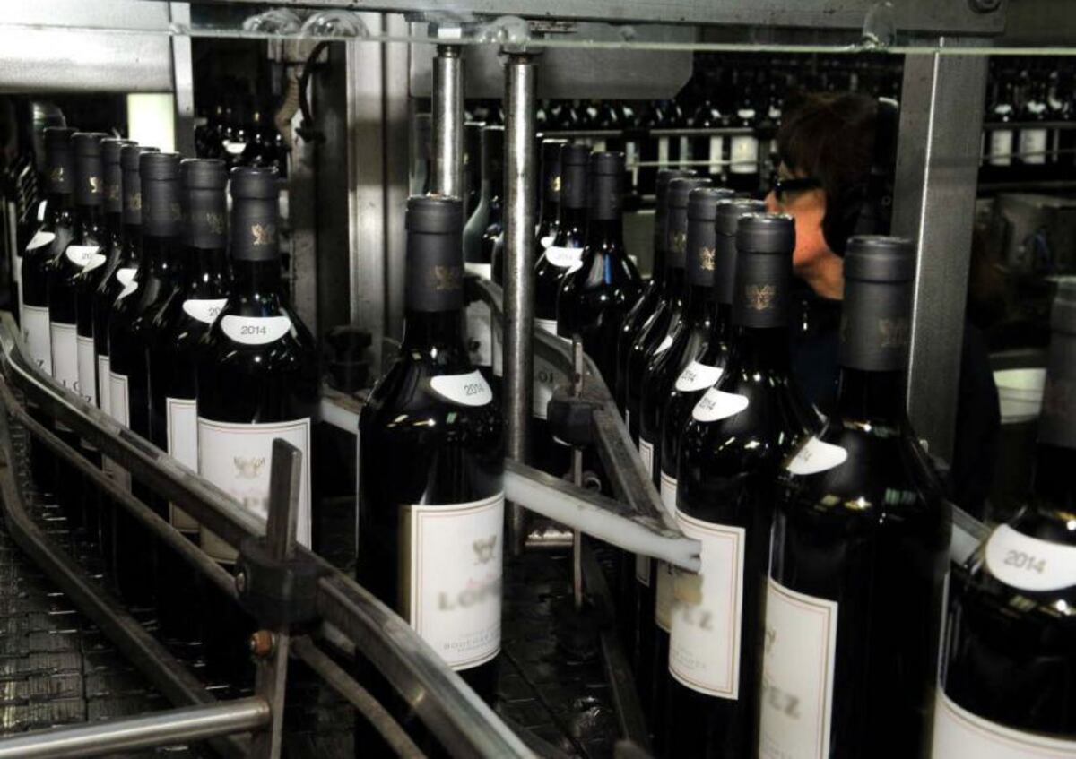 Sectores vitivinícola de Mendoza y San Juan analizan una estrategia conjunta para volver a la retenciones 0%
