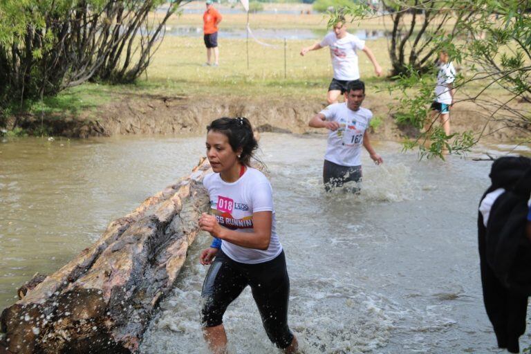 El calafate cross