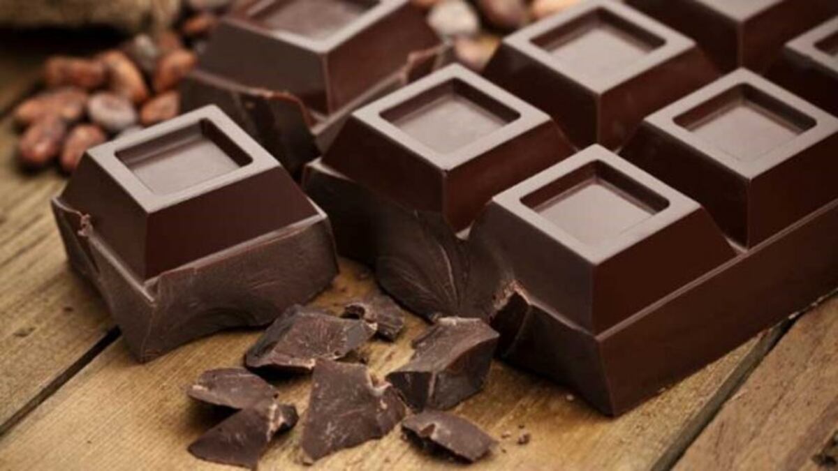 ¿Por qué los perros no deben comer chocolate?