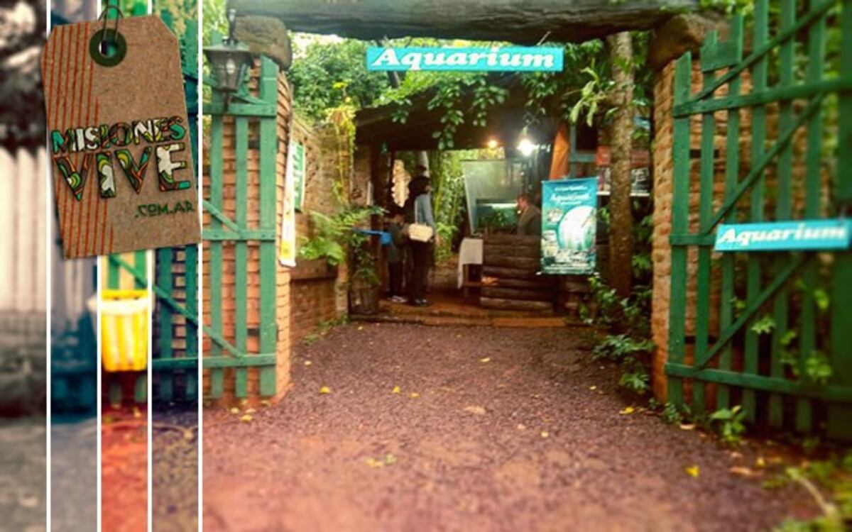 El Aquarium de Montecarlo cerró y liberó 100 peces al río Paraná