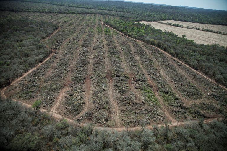 Imagen archivo. Desmontes en el Chaco durante octubre y noviembre de 2017 para instalar campos en la zona.