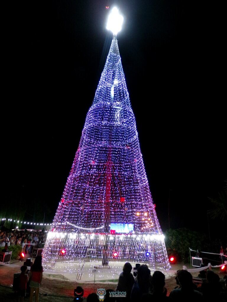 El Árbol de tus Sueños de Juana Koslay