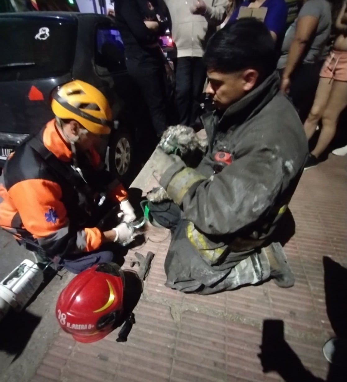 El perro rescatado en medio del incendio en Córdoba.