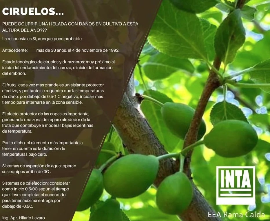 Informe de INTA