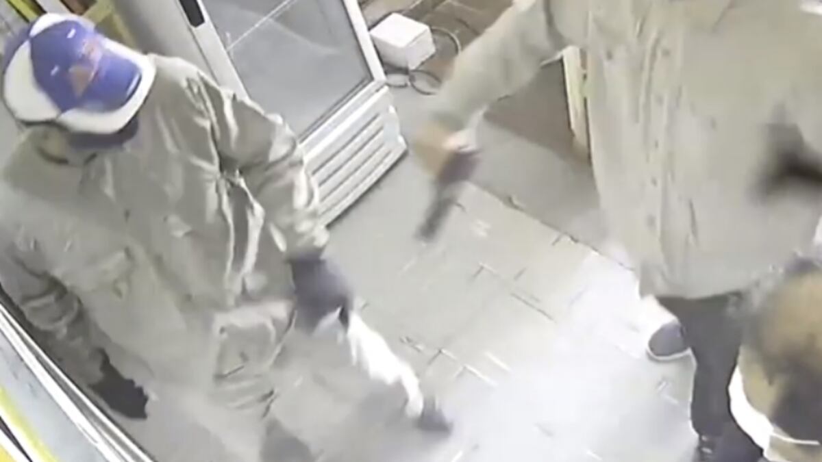 Video: entraron a robar a un comercio y terminaron peleando entre ellos