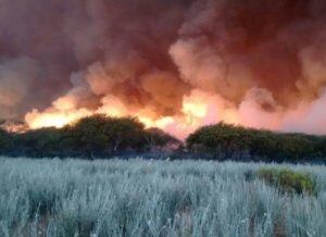 Incendios en La Pampa