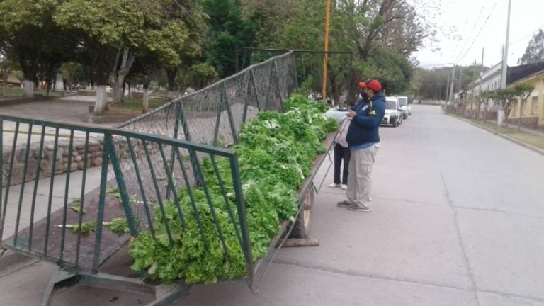 Una familia salteña regaló la cosecha de su propia huerta a sus vecinos (Facebook Prensa Guachipas La Viña)