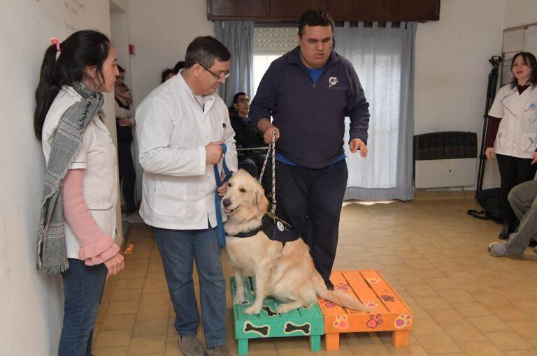 Lola y Zoe, las perritas de la División Canes de la Policía que ayudan en su terapia a chicos con discapacidad. (Prensa Gobierno)