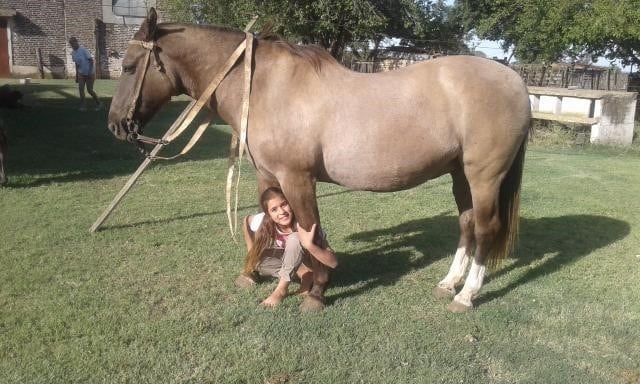 Victoria Rovetto, con 12 años, es amansadora de caballos en General Cabrera, Córdoba, y su técnica es furor en cada encuentro de animales de este tipo en el interior.