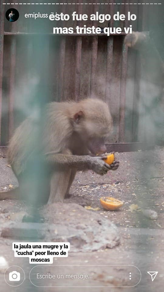 Candelaria Tinelli se sumó al pedido de un cordobés por el cierre del Zoo Córdoba.