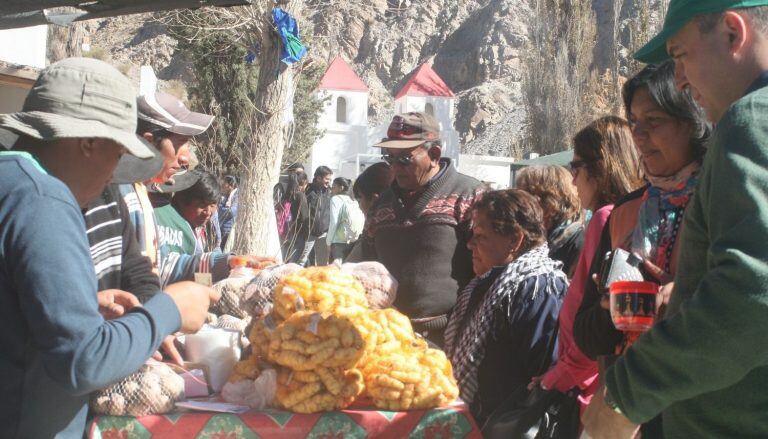 Fiesta de la Papa Andina en El Alfarcito (web)