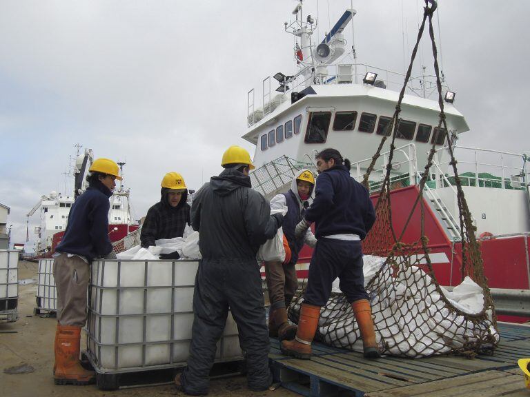 Trabajadores pesqueros en Puerto Argentino (archivo).