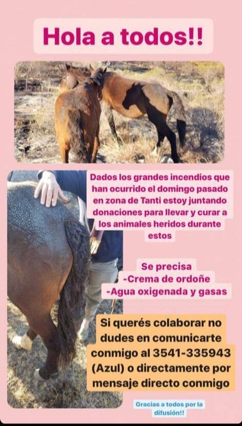 Llamado a la solidaridad para los animales afectados en Tanti.