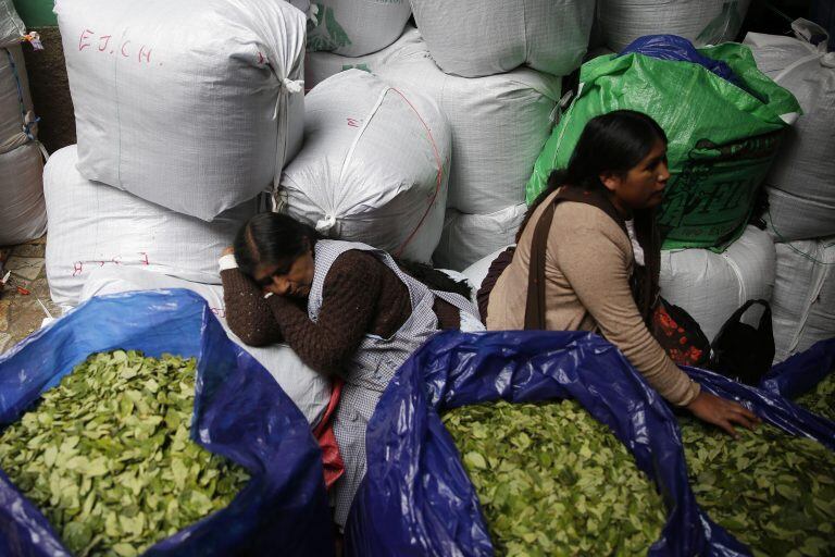 LA PAZ (BOLIVIA) - Una vendedora de hoja de coca descansa en el mercado de Villa Fátima, la principal central de abastos de hoja de coca en La Paz. EFE/Rodrigo Sura