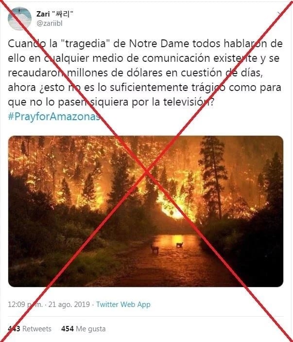 Las fotos falsas del incendio en el Amazonas (Web)