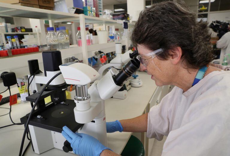 La OMS afirmó que el coronavirus viaja "sólo a través de pequeñas gotas que son expulsadas" (Foto: EFE/EPA/DAVID CROSLING)