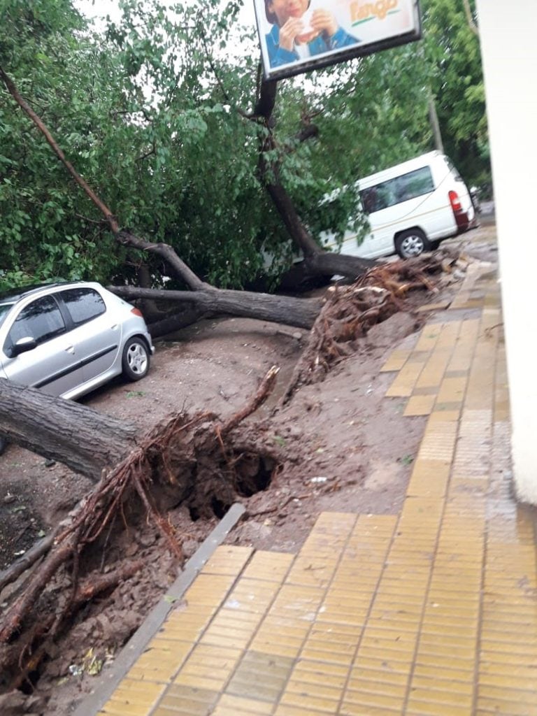 Gentileza: Orlando Tirapu/ Diario Ciudadano.