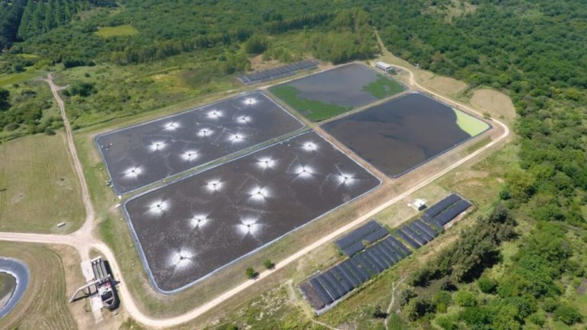 Avanza la ampliación de la planta de tratamiento de efluentes