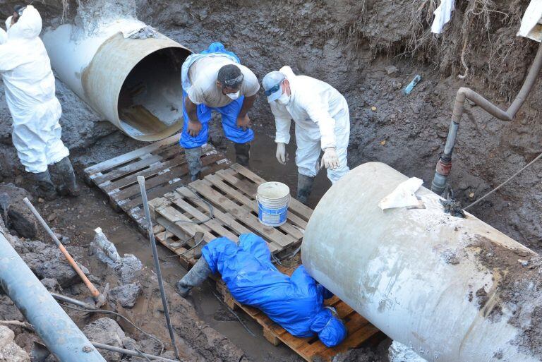 Los obreros trabajando.