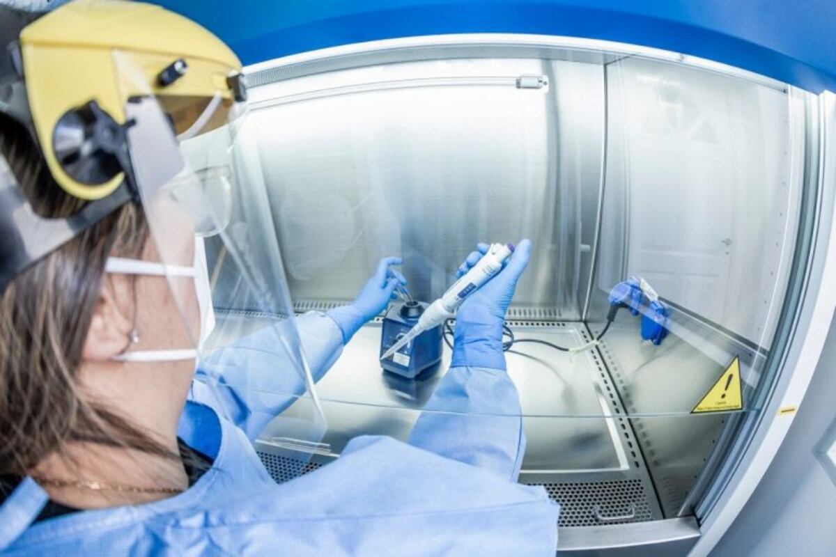 En dos semanas se sabrá si en San Juan circula alguna variante de coronavirus