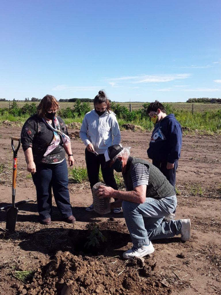 Plantación de Nogales, Grupo Huerta Agroecológica Orense