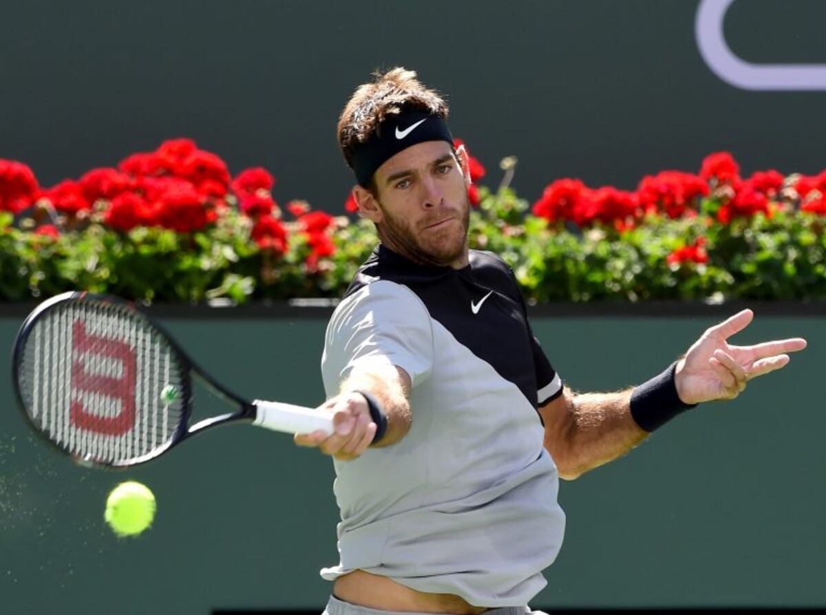 Del Potro le ganó a Raonic y jugará con Federer la final de Indian Wells