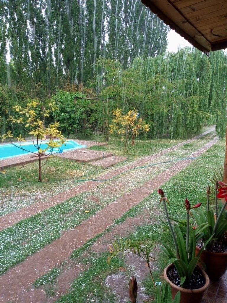 El granizo volvió a castigar a la zona de Perdriel, en Luján de Cuyo. Foto; Gentileza