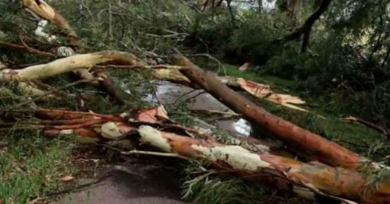 Destrozos en Santa Rosa de Río Primero. (Foto: Gentileza El Diario del Pueblo)