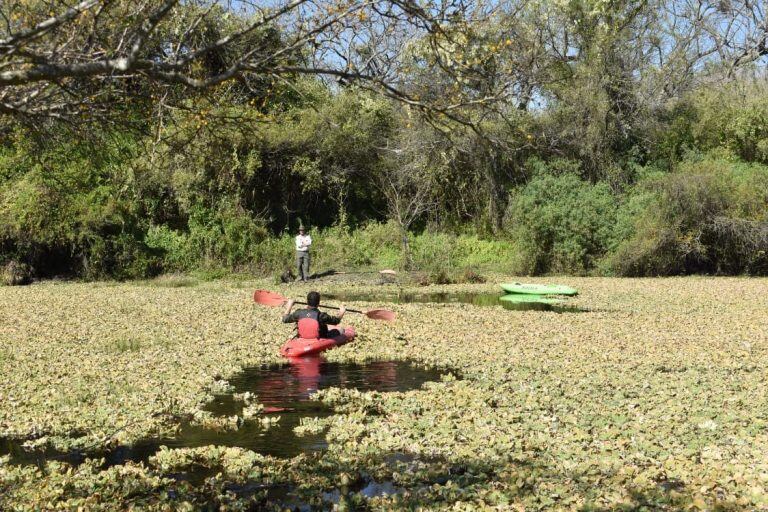 El Parque Nacional El Impenetrable alberga una gran cantidad de flora y fauna autóctona, muchas de ellas en peligro de extinción\u002E