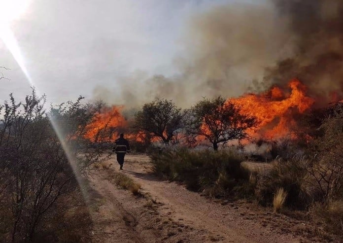 Trabajo a destajo de los Bomberos para sofocar los incendios.