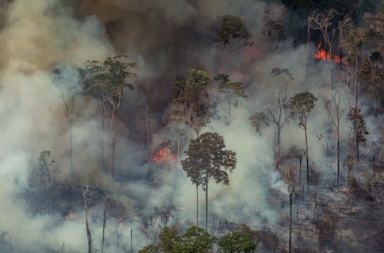 (Photo by Victor MORIYAMA / GREENPEACE / AFP).