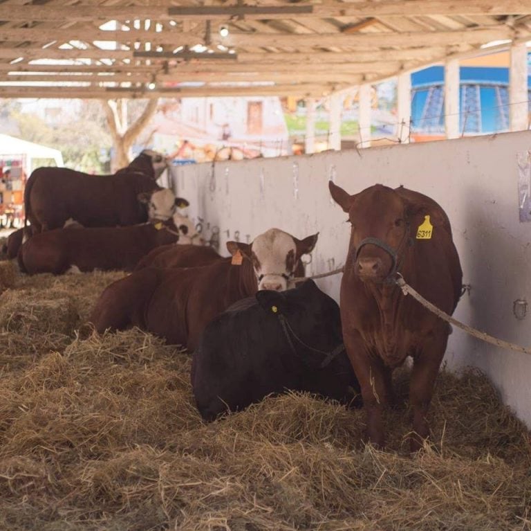 La Rural de Salta. (web)