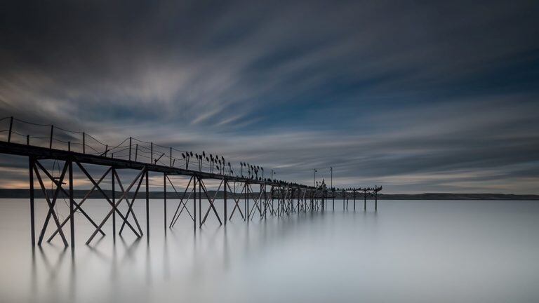 Fernando Vera 1° premio “El silencio de las aves