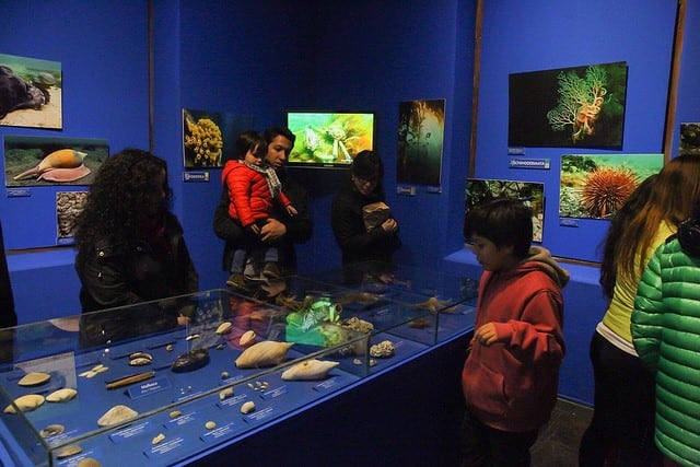 Nueva sala del Museo del Fin del Mundo. Ushuaia