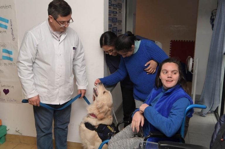 Lola y Zoe, las perritas de la División Canes de la Policía que ayudan en su terapia a chicos con discapacidad. (Prensa Gobierno)