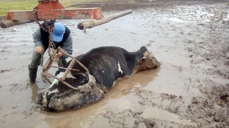 Inundaciones en Oliva