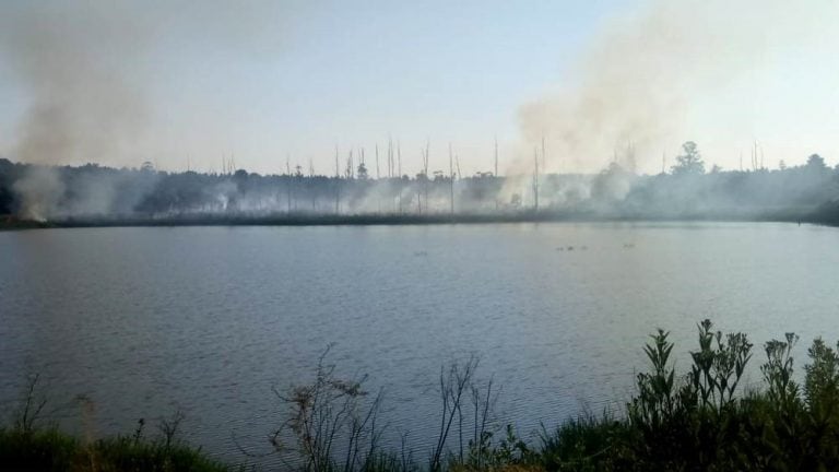 incendios corpus