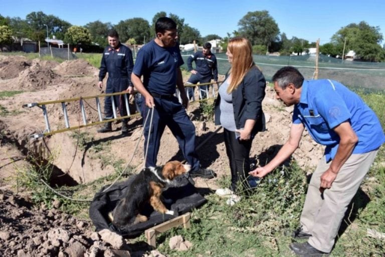 Estaba golpeado pero sin quebraduras. Foto: El Diario de la República.