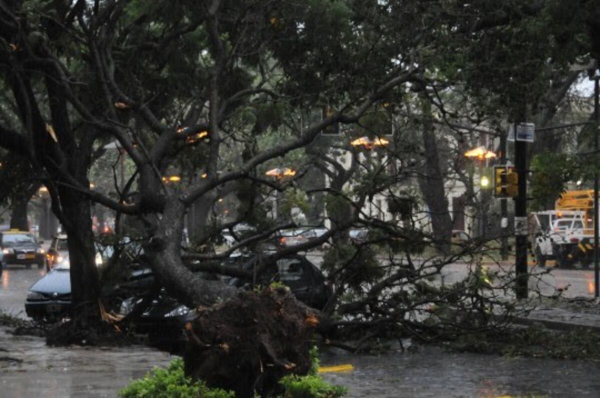 Con ráfagas de viento que superan los 70 kilómetros por hora renovaron alerta meteorológico