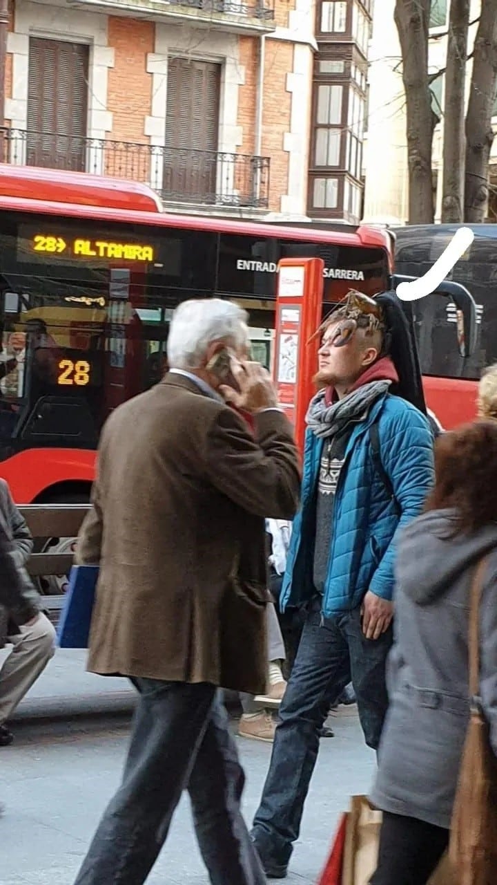 Pasando desapercibido por la calle.  (Foto/Web)