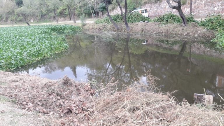 Continúan las tareas de limpieza en el lago San Roque