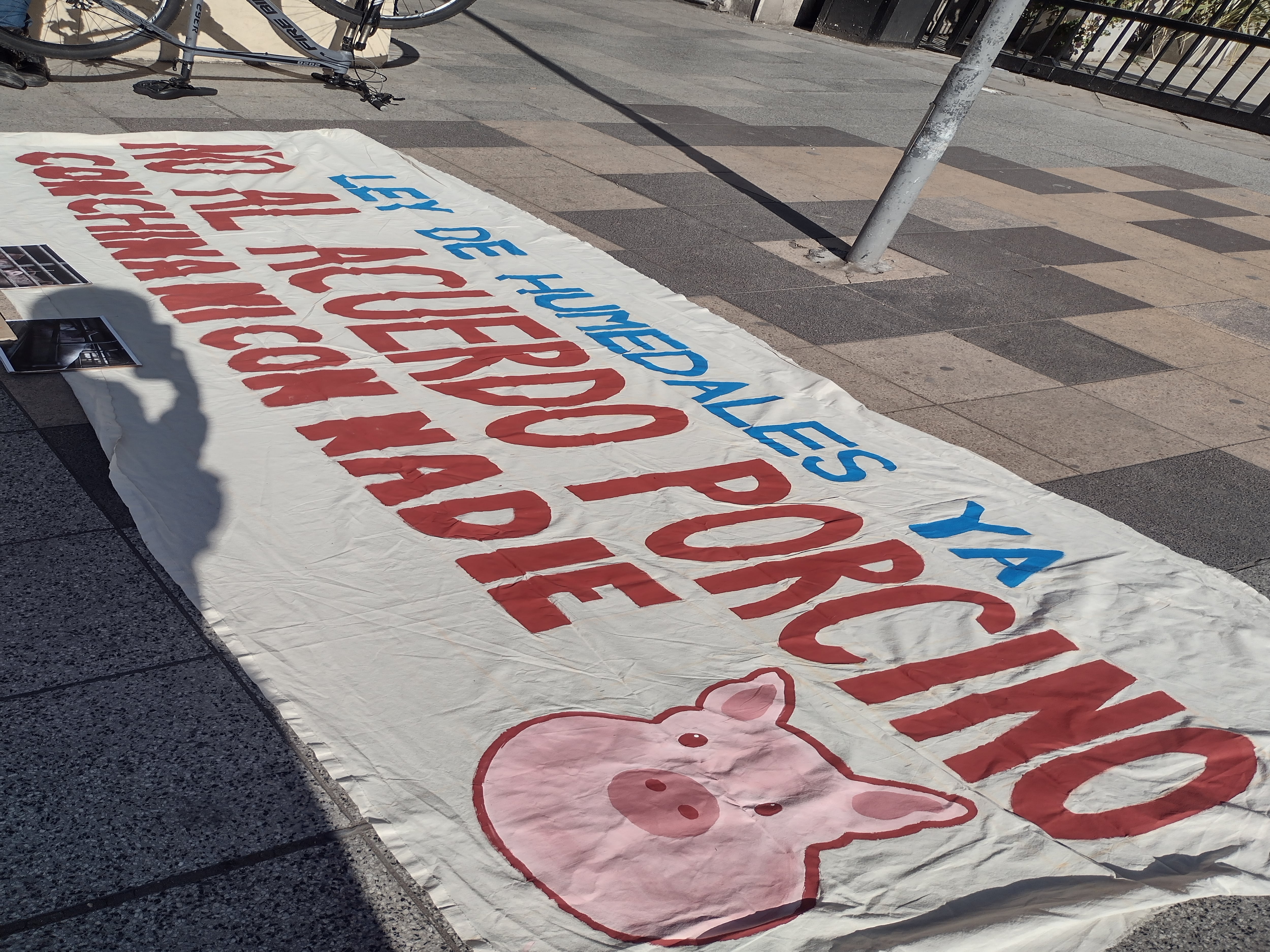 Stefanía y Carolina se sumaron a las acciones de protesta que se realizaron en todo el país para decirle “No” al acuerdo porcino entre Argentina y China