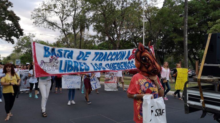 Marcha pacífica para concientizar sobre el maltrato animal