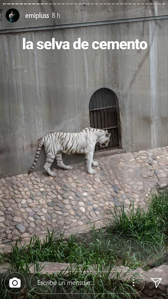 Candelaria Tinelli se sumó al pedido de un cordobés por el cierre del Zoo Córdoba.