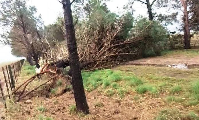 No sólo lluvias, también mucho granizo cayó en Huinca Renancó.